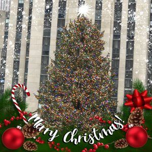 Meet your Posher, Carolyn